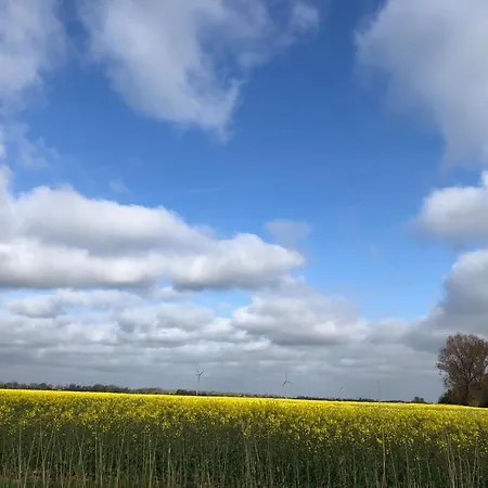 Tief 10 Nordlicht Mit Internet 804 *
