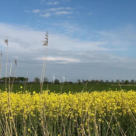 Tief 10 Nordlicht Mit Internet 804