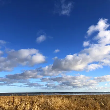 Tief 10 Nordlicht Mit Internet 804 Schillig