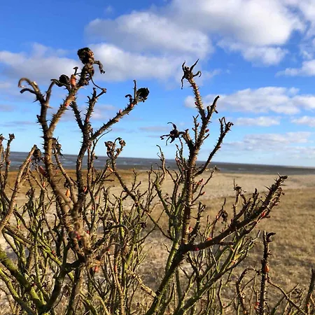 Tief 10 Nordlicht Mit Internet 804 Διαμέρισμα