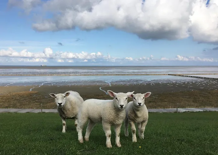 Apartamento Tief 10 Nordlicht Mit Internet 804