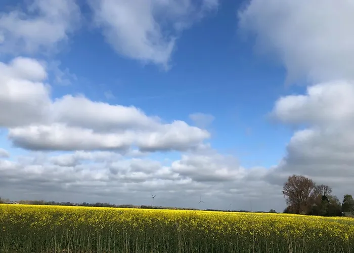Tief 10 Nordlicht Mit Internet 804 *