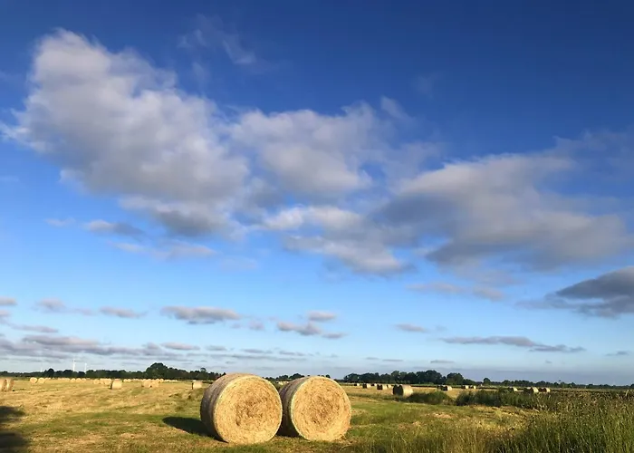 Apartamento Tief 10 Nordlicht Mit Internet 804