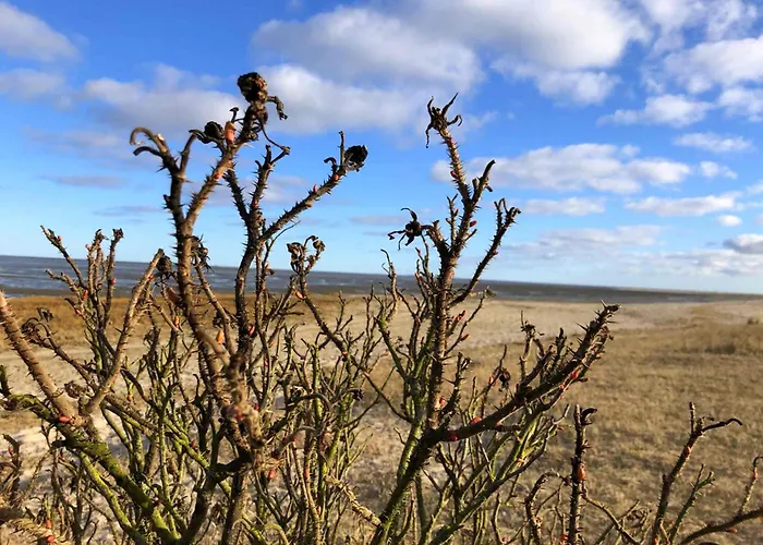 Tief 10 Nordlicht Mit Internet 804 Apartamento